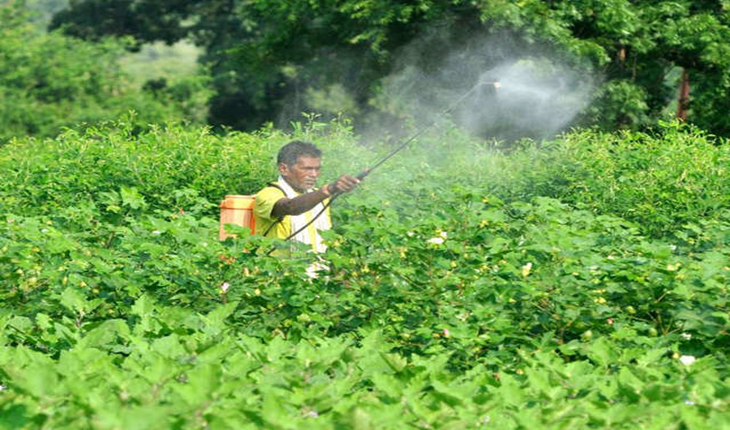 Manufacturer, Exporter, Importer, Supplier, Wholesaler, Retailer, Trader of Insecticides in Bulandshahr, Uttar Pradesh, India.