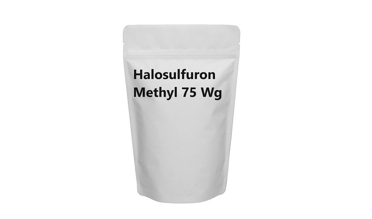 Manufacturer, Exporter, Importer, Supplier, Wholesaler, Retailer, Trader of Halosulfuron Methyl in Bulandshahr, Uttar Pradesh, India.