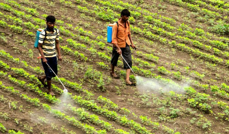 Manufacturer, Exporter, Importer, Supplier, Wholesaler, Retailer, Trader of Biostimulant in Bulandshahr, Uttar Pradesh, India.