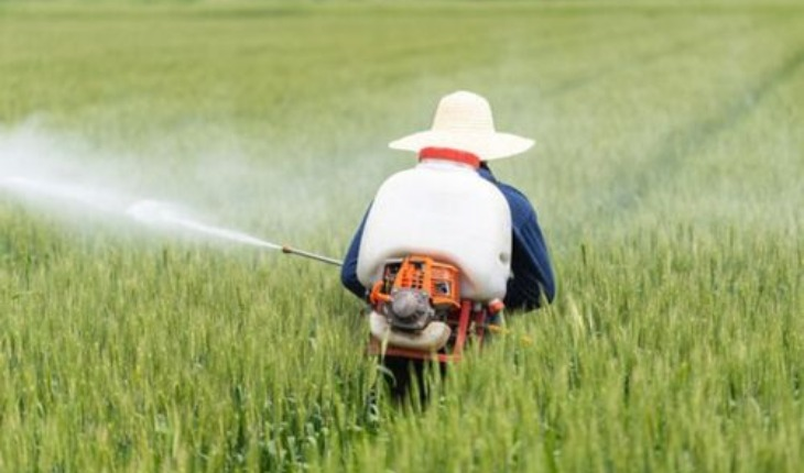 Manufacturer, Exporter, Importer, Supplier, Wholesaler, Retailer, Trader of Herbicides in Bulandshahr, Uttar Pradesh, India.