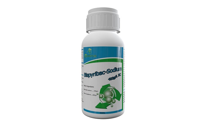 Manufacturer, Exporter, Importer, Supplier, Wholesaler, Retailer, Trader of Bispyribac sodium in Bulandshahr, Uttar Pradesh, India.