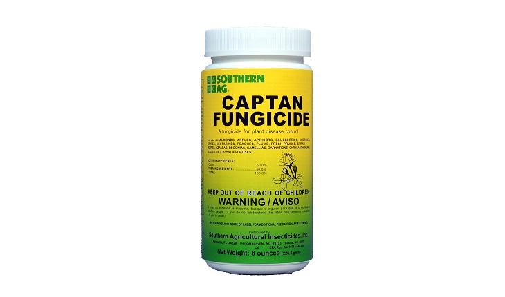 Manufacturer, Exporter, Importer, Supplier, Wholesaler, Retailer, Trader of Captan in Bulandshahr, Uttar Pradesh, India.