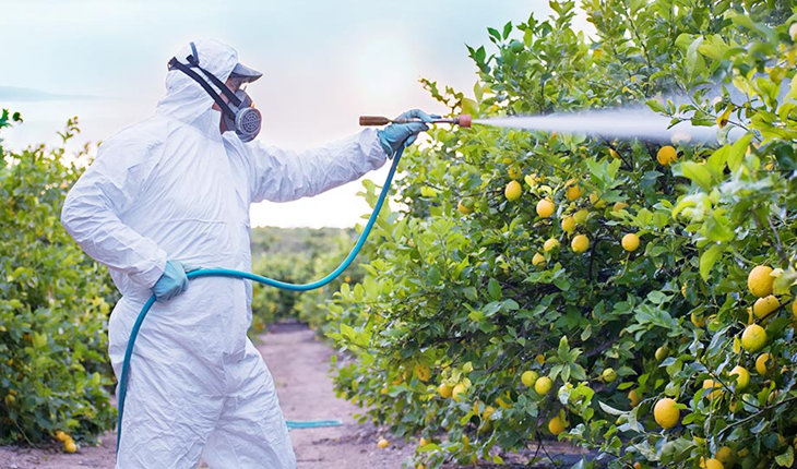 Manufacturer, Exporter, Importer, Supplier, Wholesaler, Retailer, Trader of Fungicides in Bulandshahr, Uttar Pradesh, India.